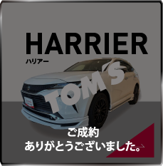 トムズハリアー