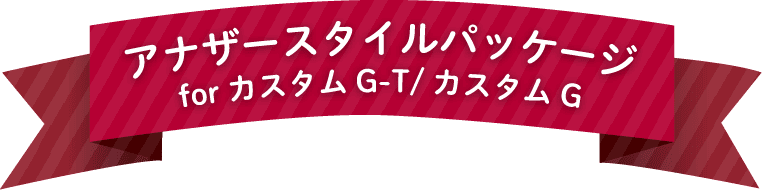 アナザースタイルパッケージ for カスタムG-T / カスタムG